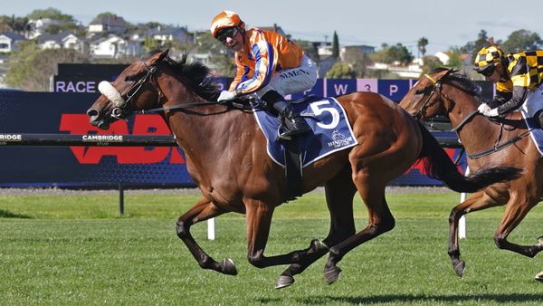 Asturia puts her name into contention for Riccarton fillies feature
