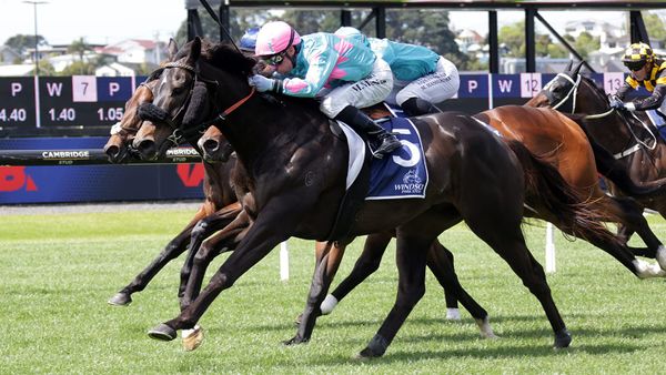 Moschino upsets at Ellerslie