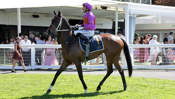 Class prevails in Ellerslie feature