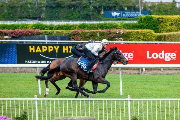 Woburn Farm Presents quality draft at Ready to Run Sale
