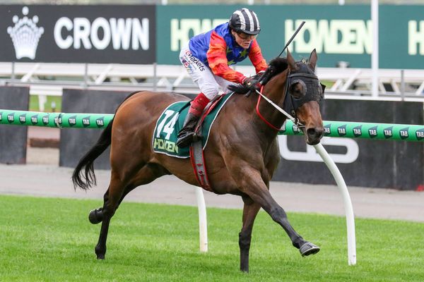 Derby option on the table for Miss Waititi