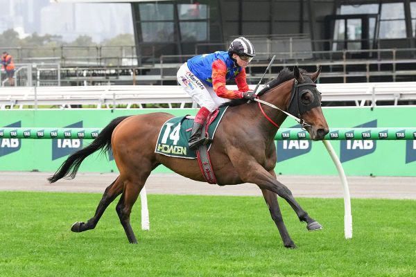 Breeding group toasts Flemington stakes success
