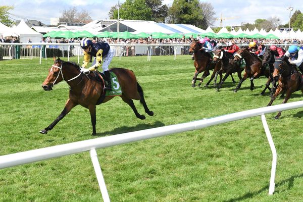 Navy Dreams up to the East Coast Challenge