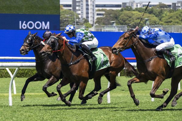 Ocean Tsunami marks sire’s Cox Plate anniversary with win