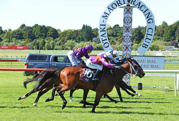 Platinum Diamond returns with a vengeance at Otaki