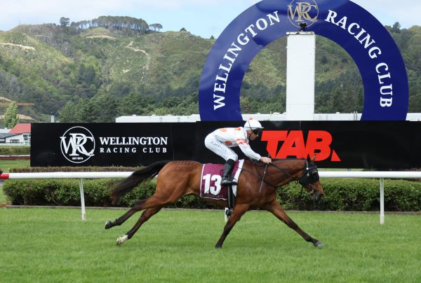 Puzzle puts pieces together at Trentham