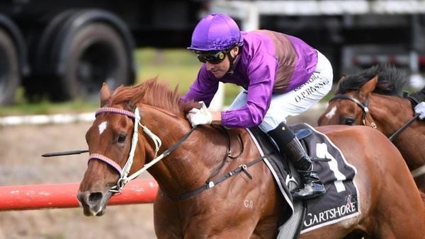 Platinum Pantheon on track for Silver Eagle