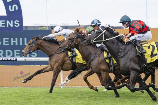 Proxima Dea makes history in Gloaming Stake