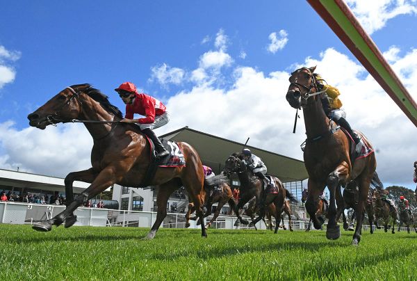Rareza back with a vengeance at Otaki