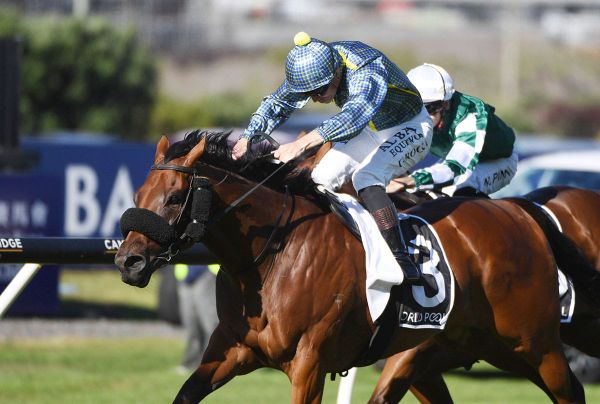 Mufhasa Classic in the crosshairs for Derby winner