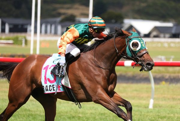 Pitman team poised to shine ahead of Cup week