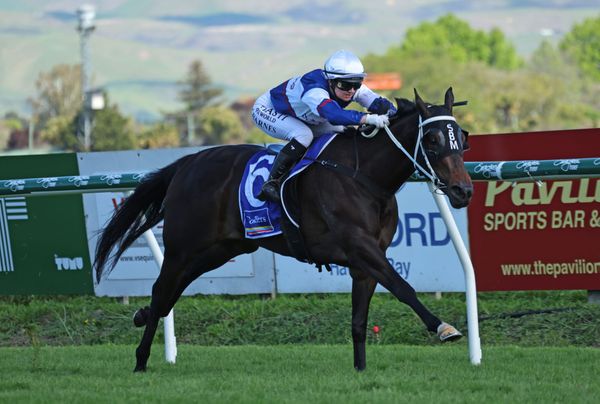 No distance fears with in-form Guineas contender