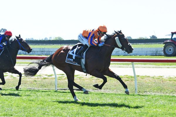 Te Akau’s Riccarton arsenal firing ahead of NZ Cup Week