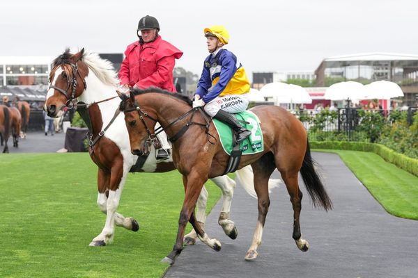 Saintly Dancer has Hawkins dreaming of Guineas glory
