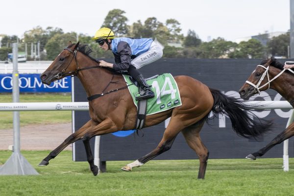 Satono Glow shines in Roman Consul triumph