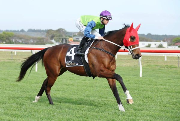 Gear changes for Guineas contender at Otaki
