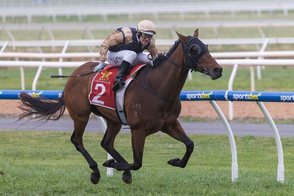 St Lawrence back on top in Murray Bridge Gold Cup