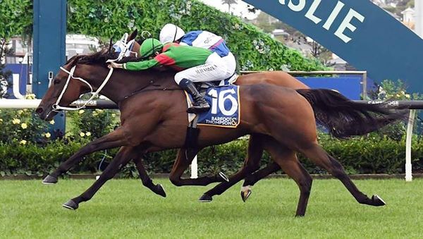 Trav tracking towards NZ Cup