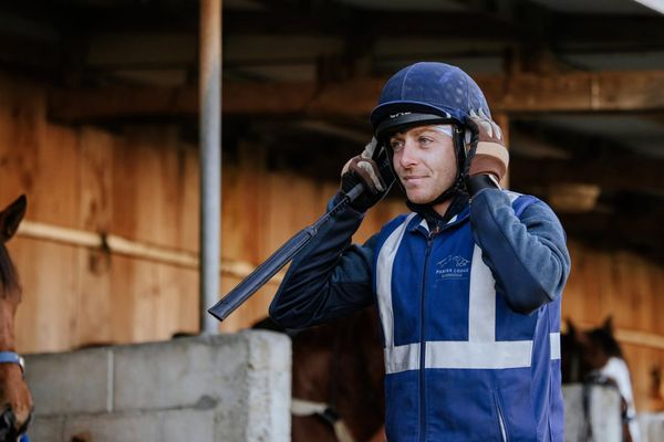 Quartet of Quality Colts Mark Pamina Lodge’s Debut