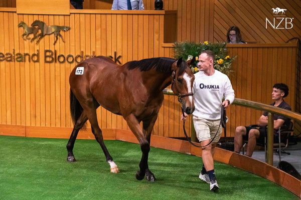 Group One Contenders Boost Ready to Run Excitement for Ohukia Lodge