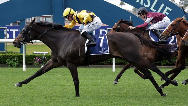 Highly regarded mare a top Kaimai prospect