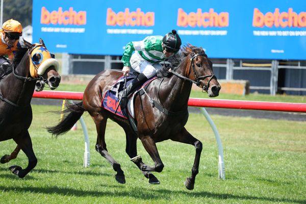 Breeder’s plan comes to fruition in Livamol