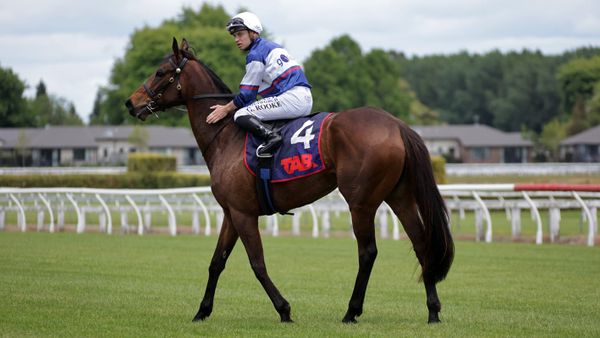 With Grace seals NZ Cup berth