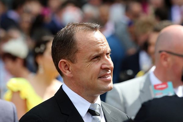 Waller content with Cox Plate preparations