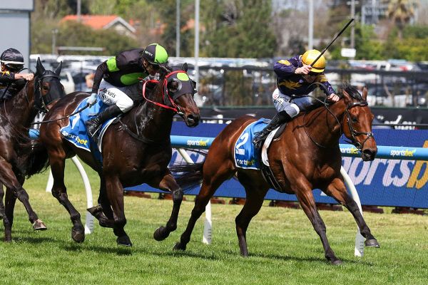 War Machine back to brilliant best in Harry White Stakes