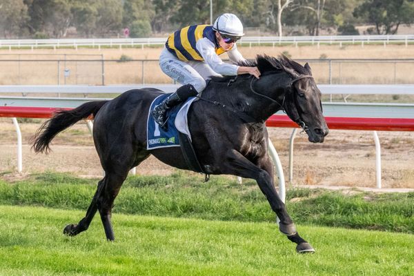 Seymour success gives Wymark country cup hat-trick
