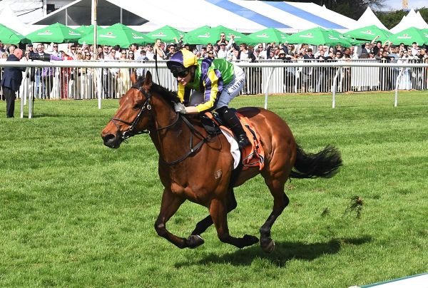 Connections in no rush with hot prospect Zorero
