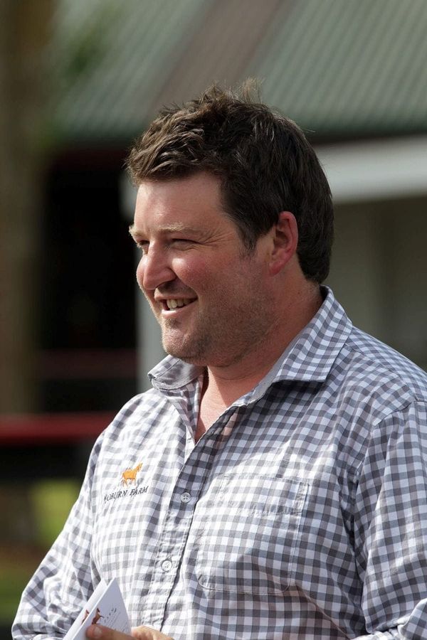 Woburn Farm Presents quality draft at Ready to Run Sale