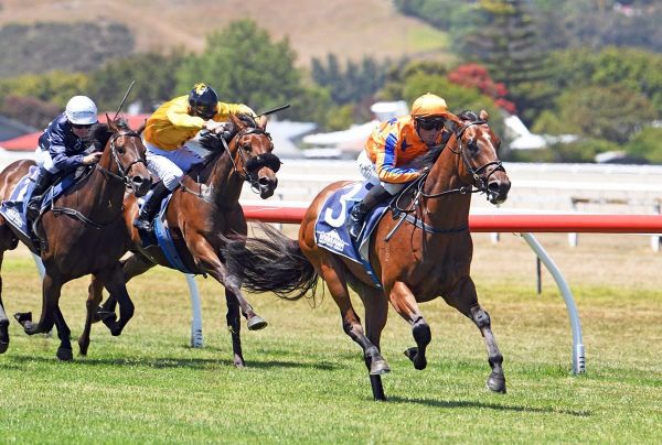 Aotearoa Classic in crosshairs for He Who Dares
