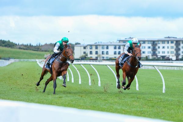 Breeze Up Footage Now Available to View Online