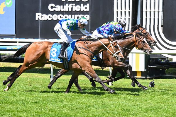 Cignetti primed for Victoria Derby test