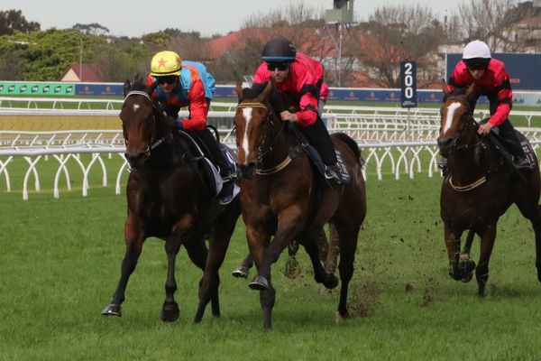 Ka Ying Rising on track after Randwick trial