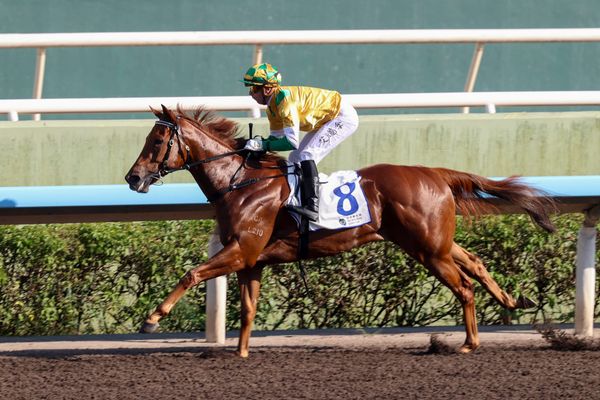 Avdulla confident Bustling City can complete hat-trick at Sha Tin