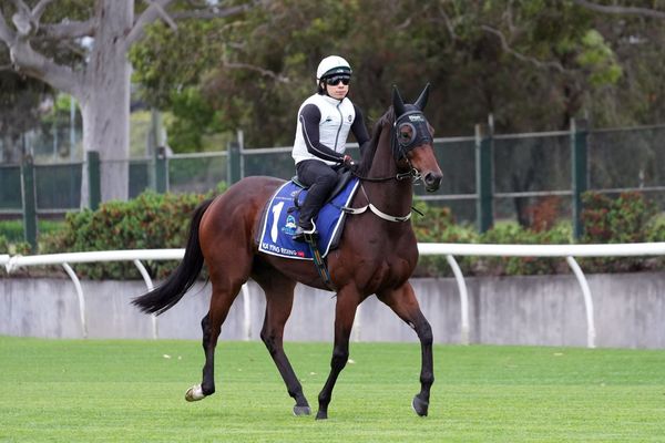 Waller hoping to topple Everest favourite