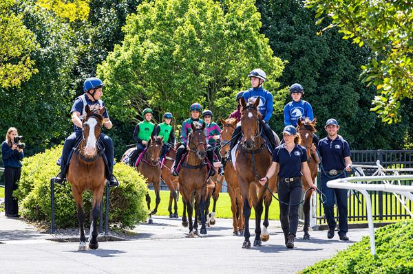 Scene Set For 2026 Breeze Ups