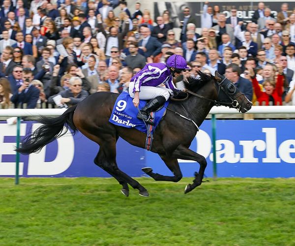 U.S. Navy Flag To Valachi Downs