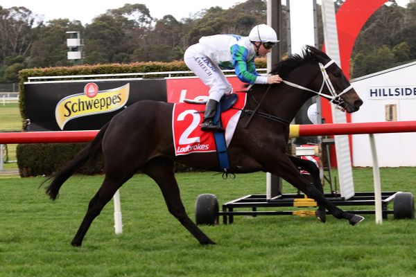More Australian success for Waikato Stud