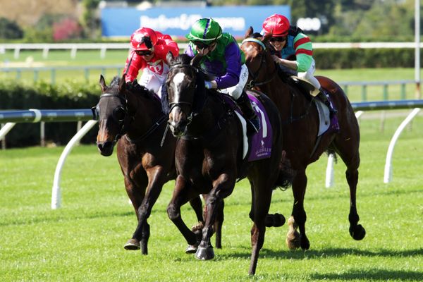 Back In A Flash all class at Ellerslie