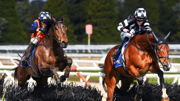 Maher has Grand Annual thoughts for Ablaze