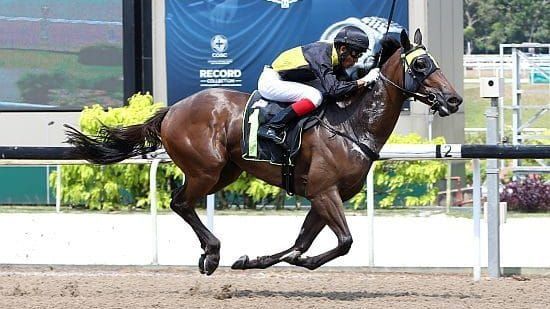 Nizar rises to the occasion on Lincoln Moonlight