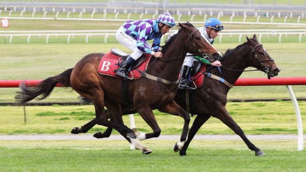 Improvement expected from Princess Jenni