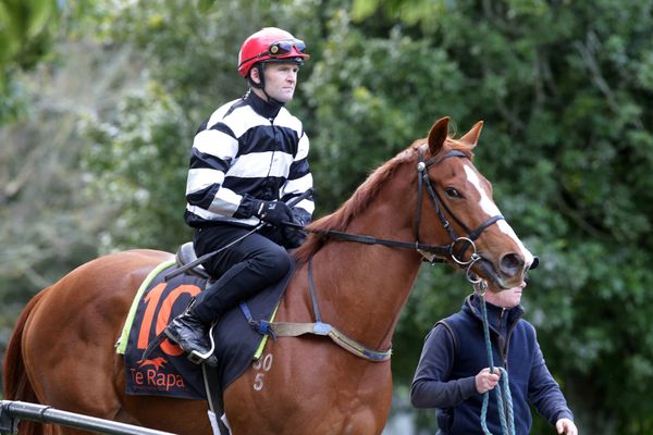 Promising dawn to new season for Ritchie