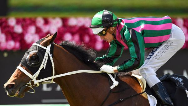 Makdanife produces huge form turnaround