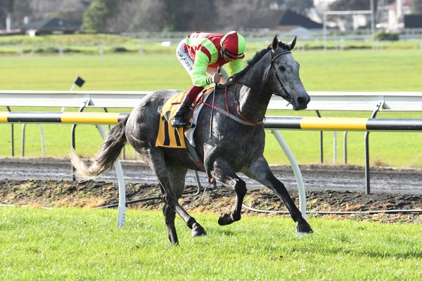 Helena Baby seeks stable revenge in Foxbridge