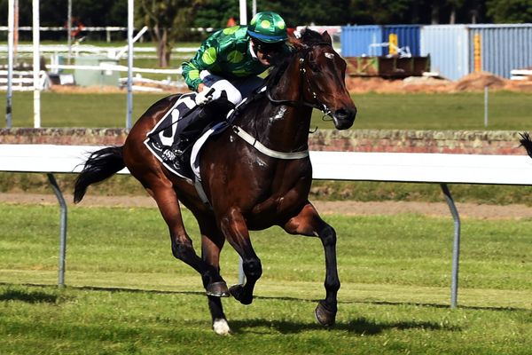 Summer return likely for Hiflyer