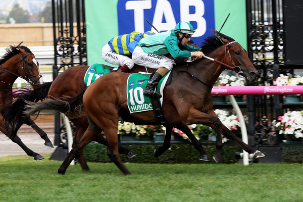 Humidor set for Memsie return